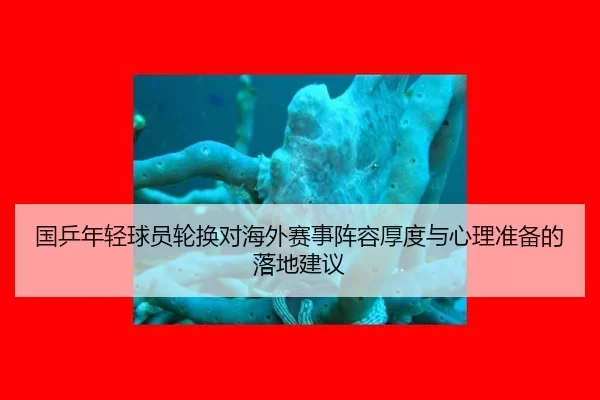guo-ping-nian-qing-qiu-yuan-lun-huan-dui-hai-wai-sai-shi-zhen-rong-hou-du-yu-xin-li-zhun-bei-de-luo-di-jian-yi-2-344.jpg